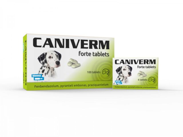Caniverm Deworming Tablets for Cats & Dogs - Image 2