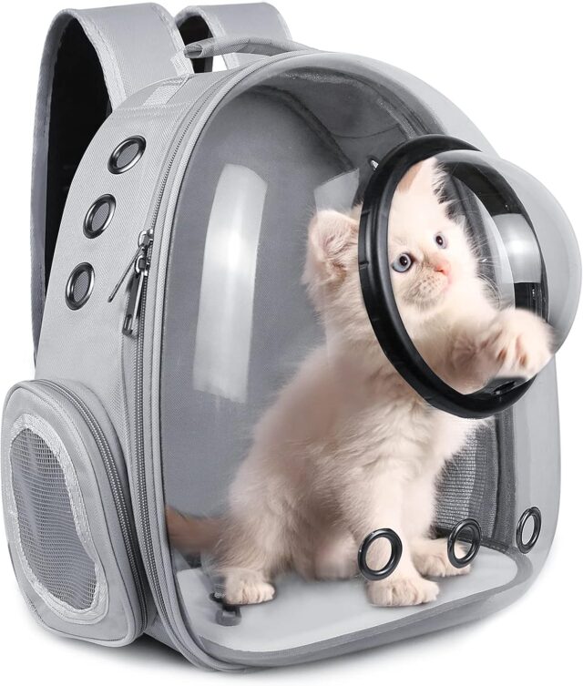Cat Bag with Window Transparent
