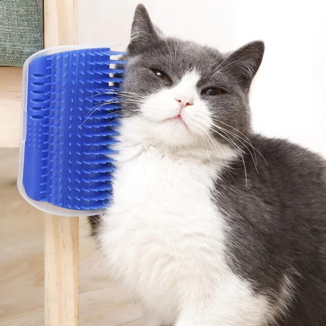 Catit Self Groomer - Image 2