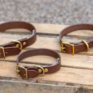 Premium Dog Leather Collar