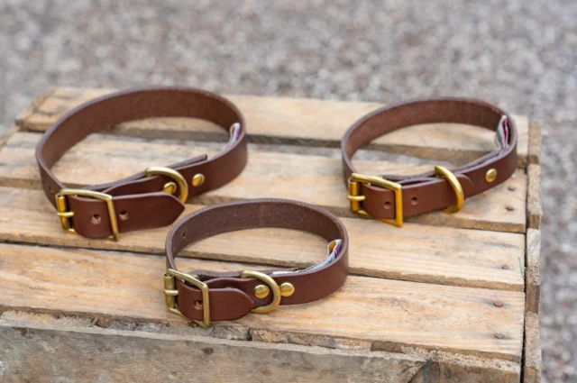 Premium Dog Leather Collar