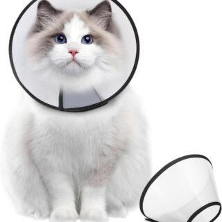 E Collar (Elizabethan)