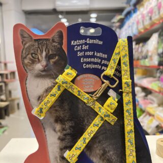 Cat Harness Printed