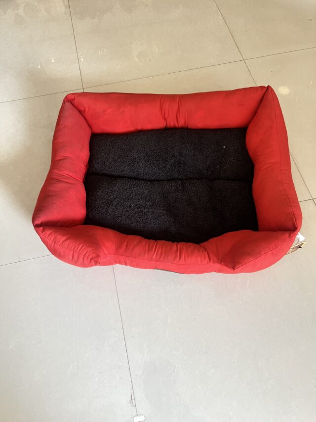 Red Dog Bed Square Large