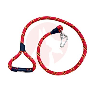 Leash with Handle for Dogs - XL