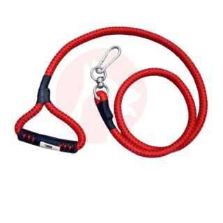 Leash with Handle for Dogs – Large