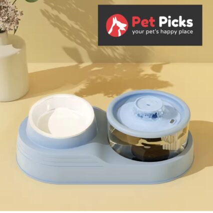 Water Fountain with Single Bowl