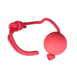 Red Hard Ball with Rope - Tug Toy