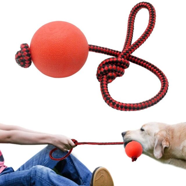 Red Hard Ball with Rope - Tug Toy - Image 2