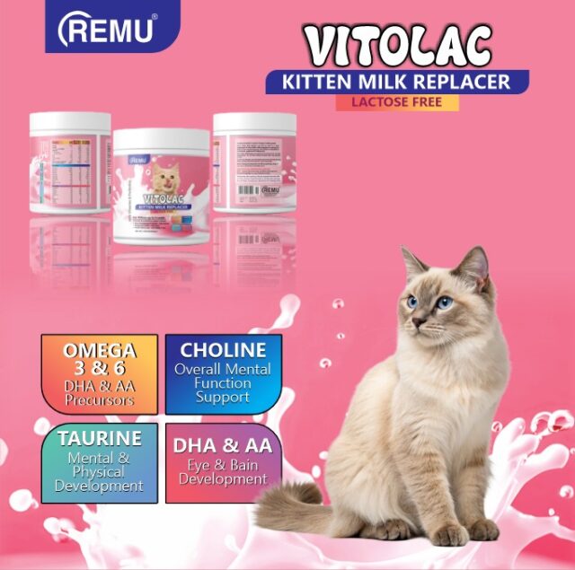 Remu Vitolac Kitten Milk 100g