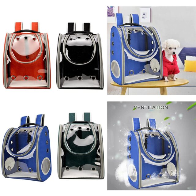 Large Cat Bag - Transparent - Image 2