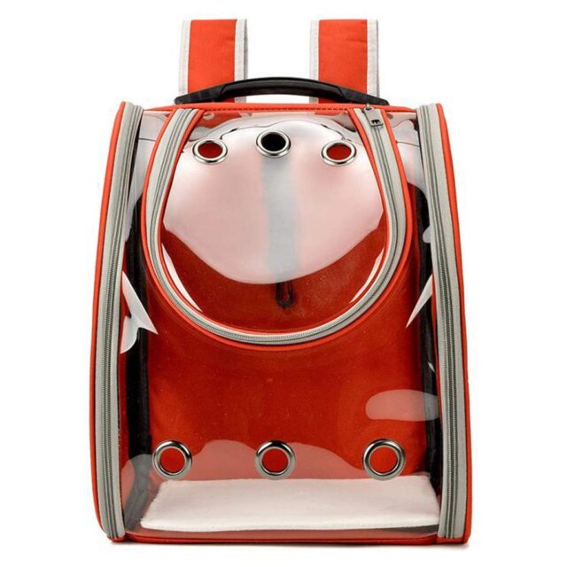 Large Cat Bag - Transparent - Image 3