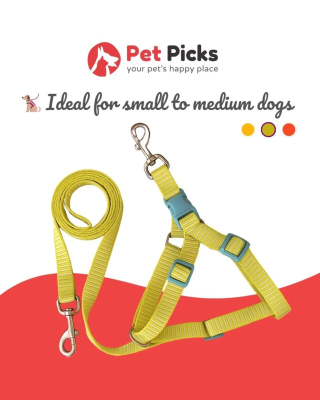 Vibrant Harness High Quality for Dogs - Image 2