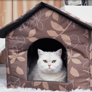 Cat House Single Hut Shape