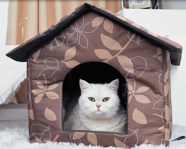 Cat House Single Hut Shape
