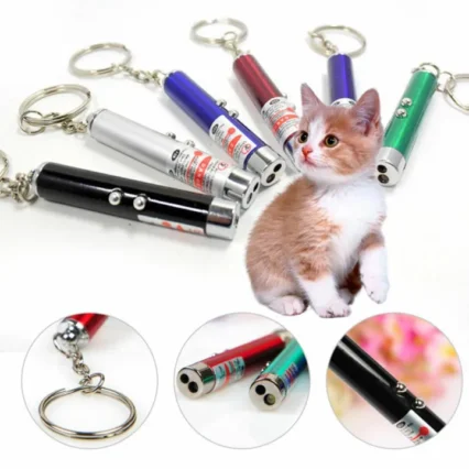 Cat Laser Light