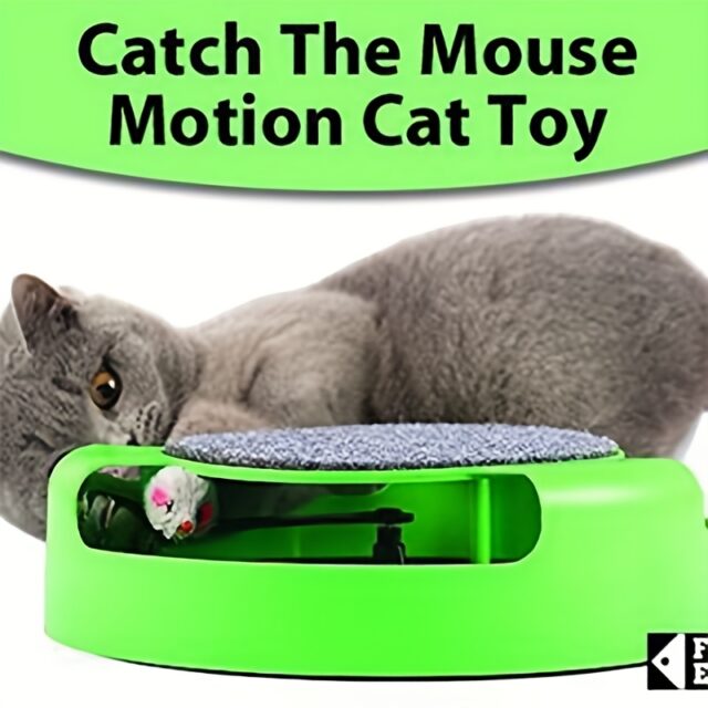 Catch the Mouse Toy - Image 2