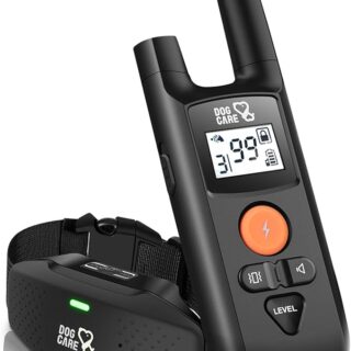 Rechargeable Dog Training Collar