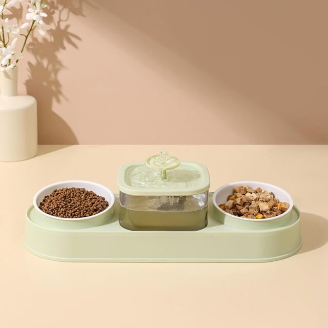 Water Fountain with Two Bowls