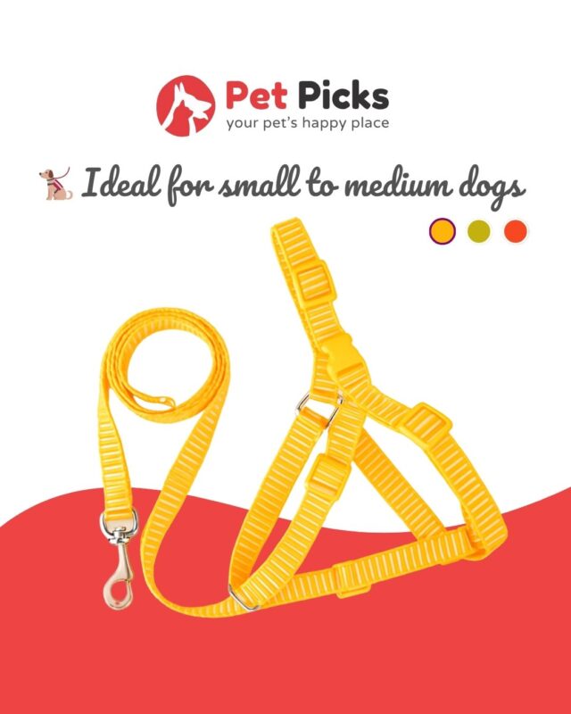 Vibrant Harness High Quality for Dogs