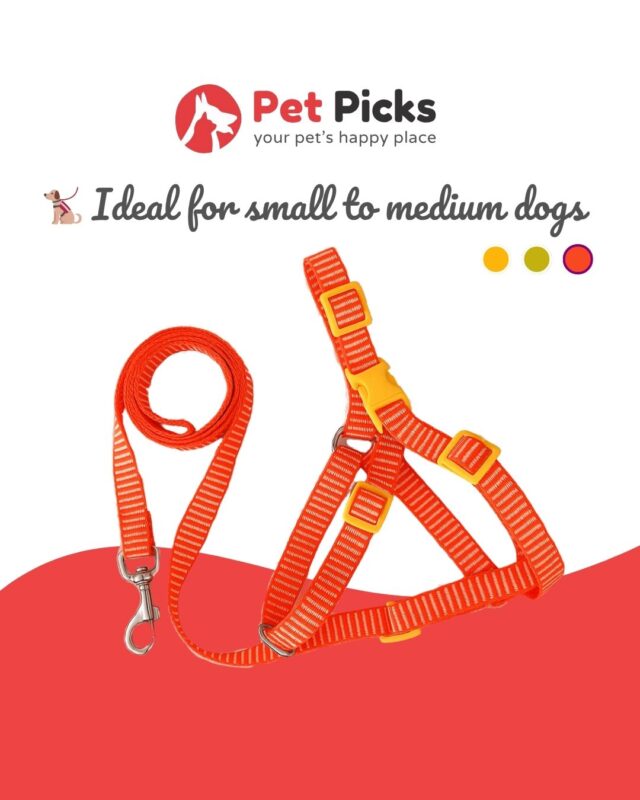 Vibrant Harness High Quality for Dogs - Image 3