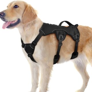 Security Dog Full Body Harness