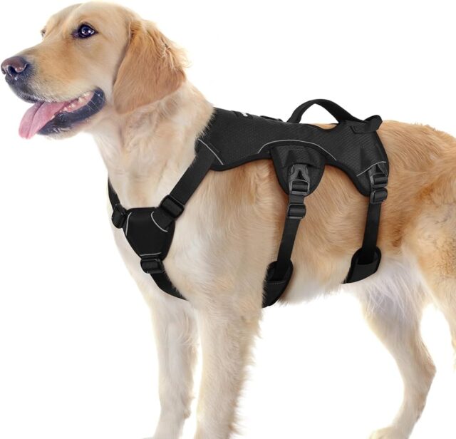Security Dog Full Body Harness