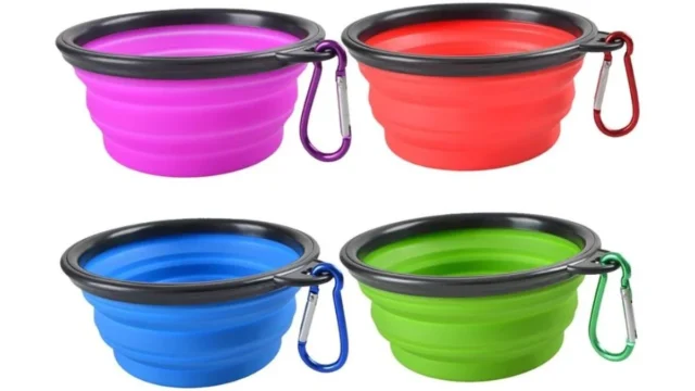 Travelling Bowl for Cats