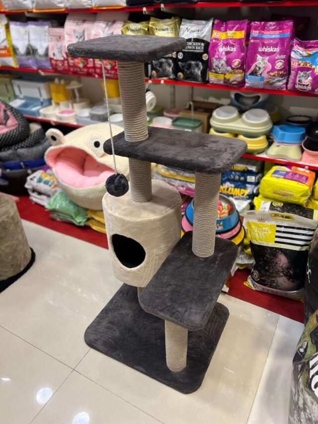 Premium Scratch Post 3 Top - Image 2