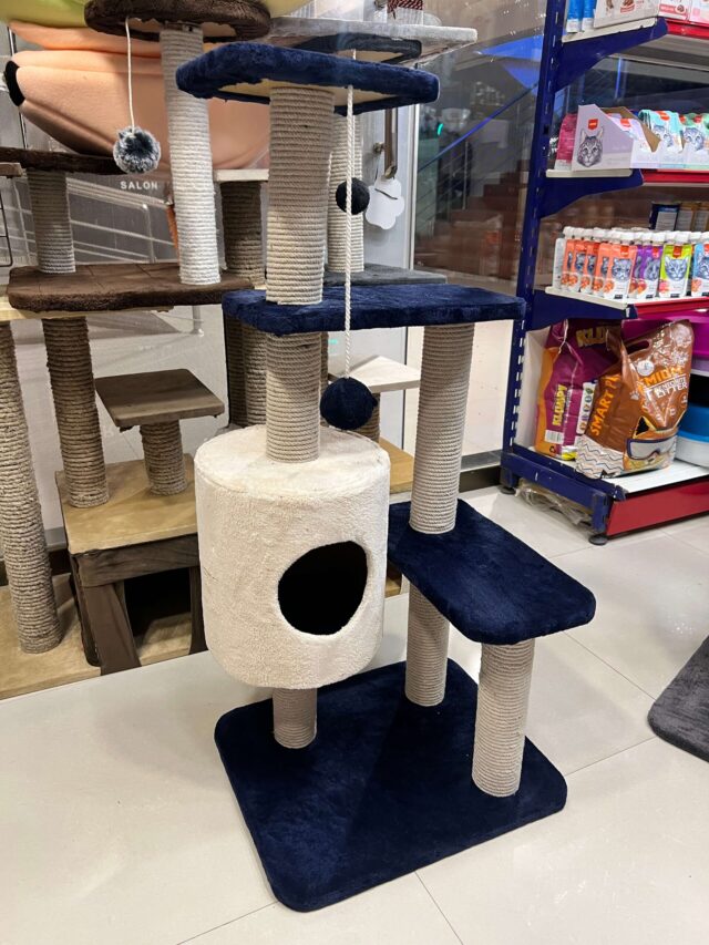 Premium Scratch Post 3 Top