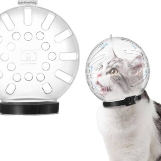 Cat Protective Transparent Hood