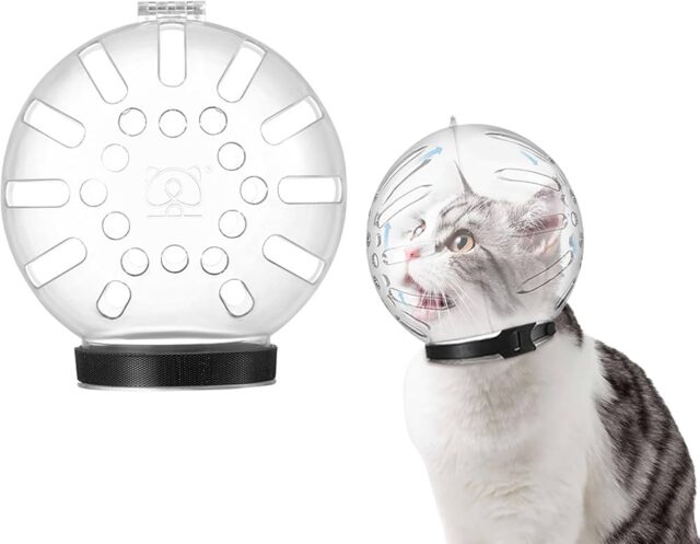 Cat Protective Transparent Hood