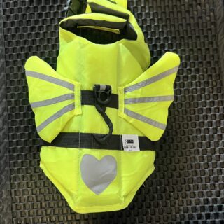 Puppy Safety Vest Life Jacket