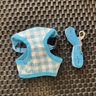 Kitten Chester Harness with Leash