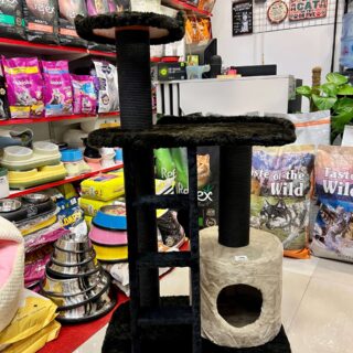 Premium Ladder Scratch Post