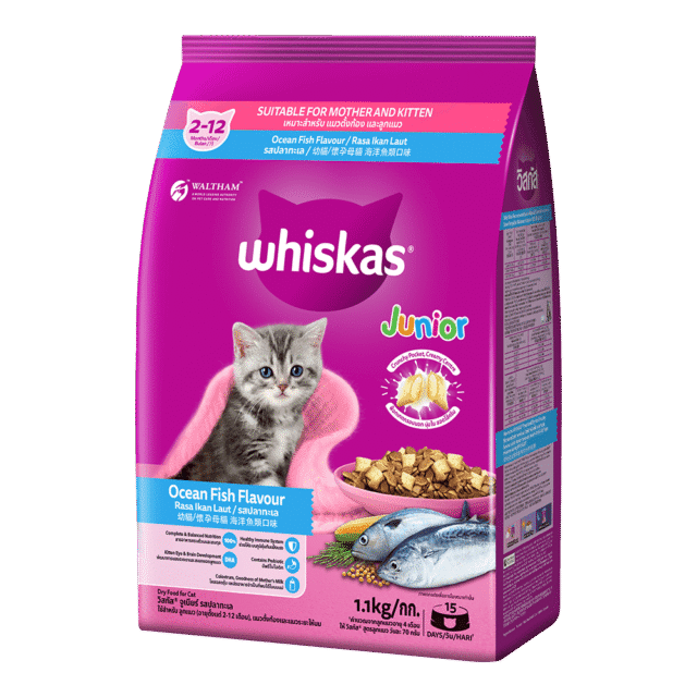 Whiskas Dry Food Kitten - Ocean Fish Flavor 1.1kg