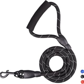 Heavy Duty Leash for Medium to Large Dogs