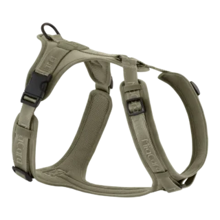 Dog Collar & Harness