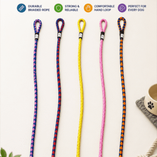 dog leash