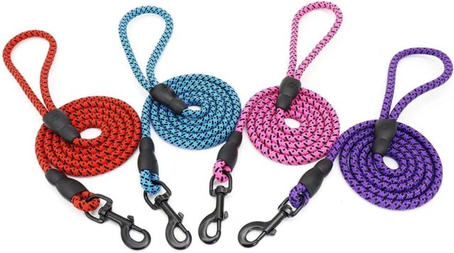Heavy Duty Dog Leash XL