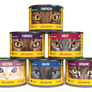 Wet Food for Cats