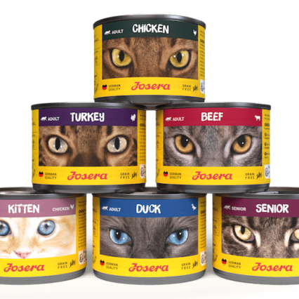 Wet Food for Cats