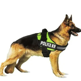 k9 harness