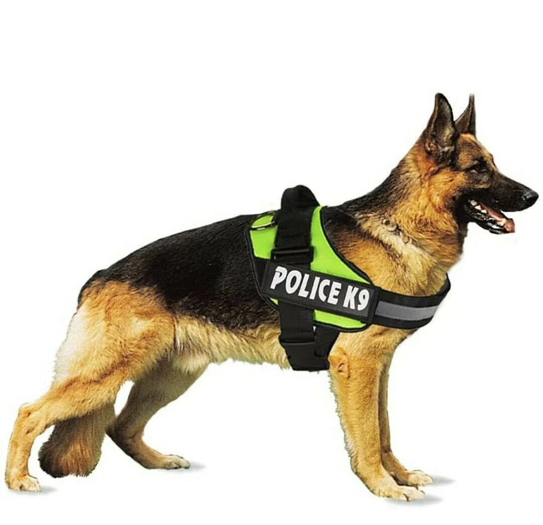 k9 harness
