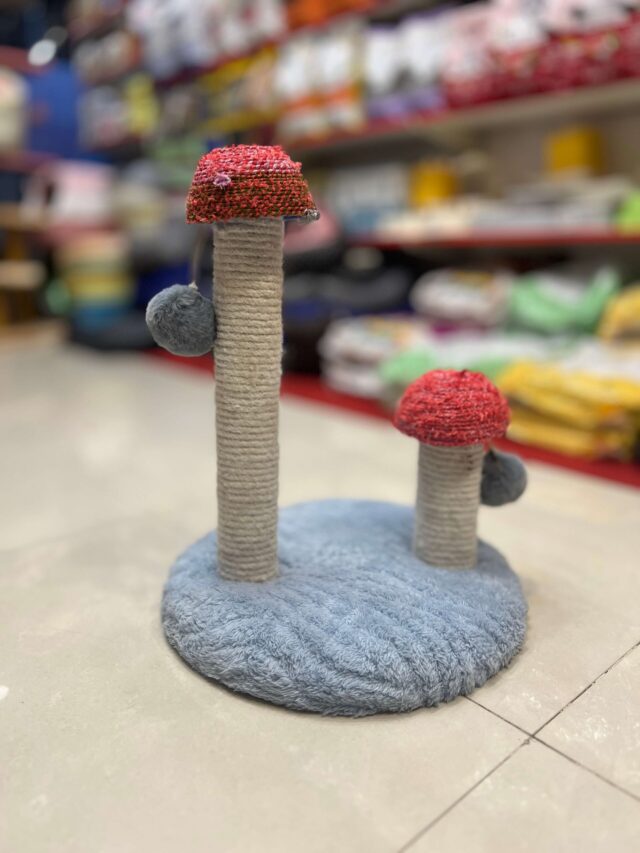 2 Pole Mushroom Scratch Post