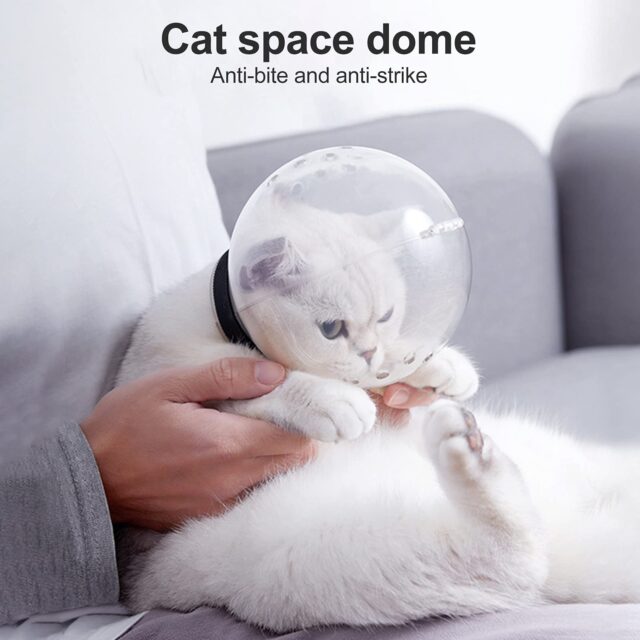Cat Protective Transparent Hood - Image 2