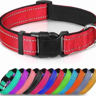 Reflective Dog Collar Large