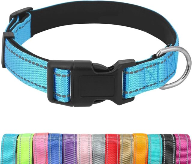 Reflective Dog Collar Large - Image 3