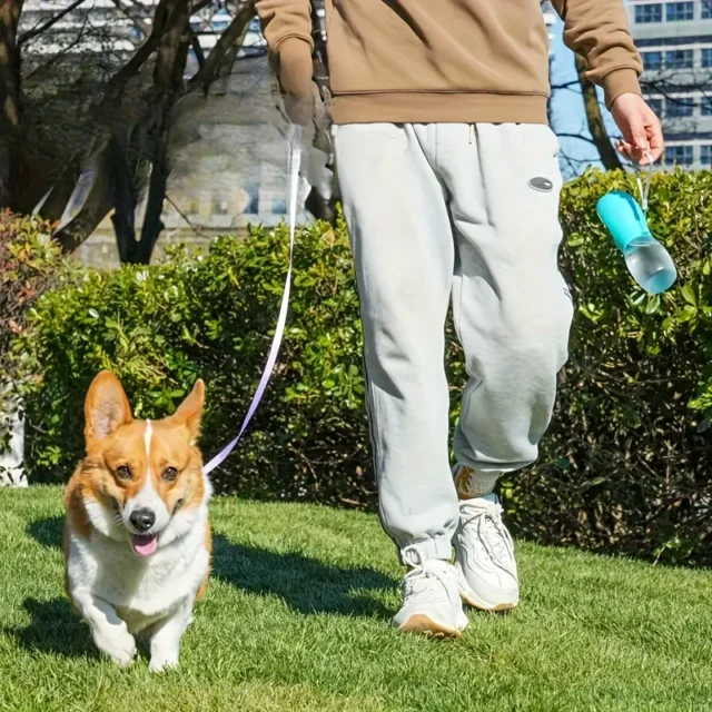 Pets Portable Water Bottle - Image 2