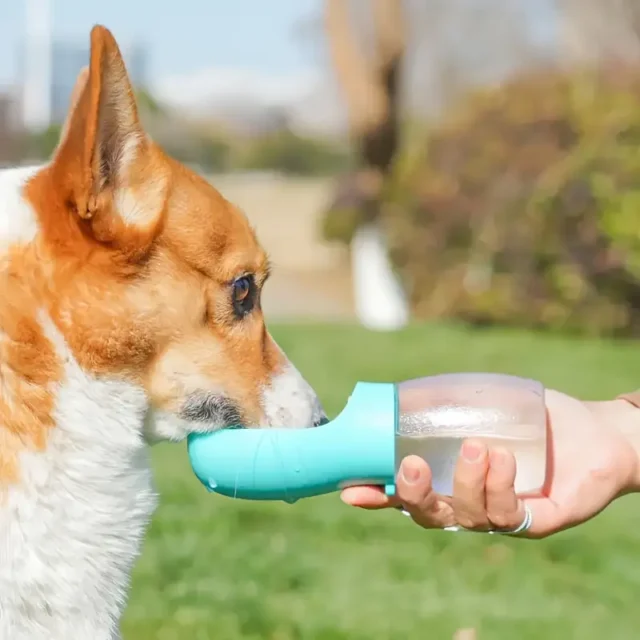 Pets Portable Water Bottle - Image 3